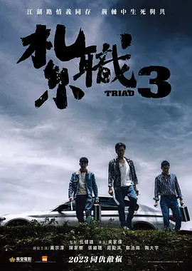 扎职3：义薄云天 (2024)