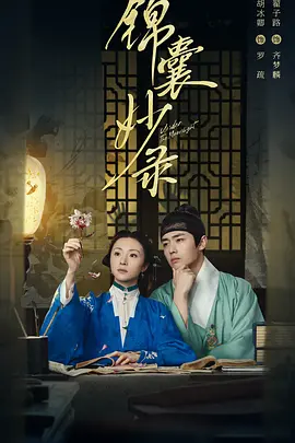 锦囊妙录 (2025)