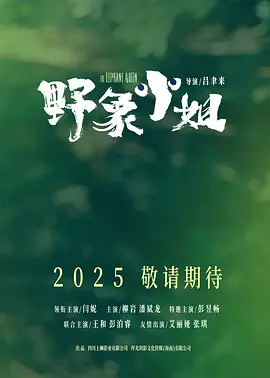 野象小姐 (2025)